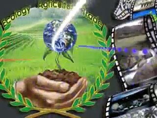 ProjectEAT Feature Film