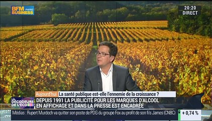 La santé publique est-elle l'ennemie de la croissance ? (4/4) - 11/06