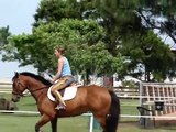 Samanthas Rose, 8 Year Old Appendix Mare