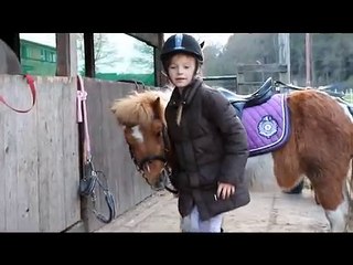 Neues vom Krümi: Erster Galopp auf dem Platz.wmv