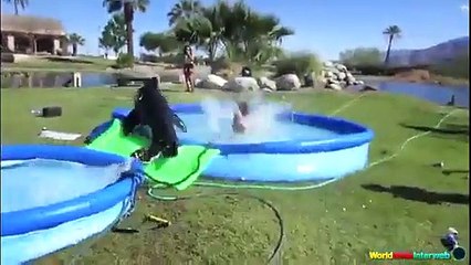 The Ultimate Water Slide Fails Compilation