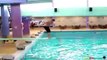 The Ultimate Diving Board Fails Compilation