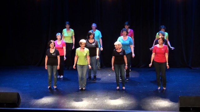 Démo du 5 juin 2015 espace 110 Illzach