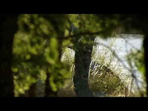 bosco e ines capitulo 1092