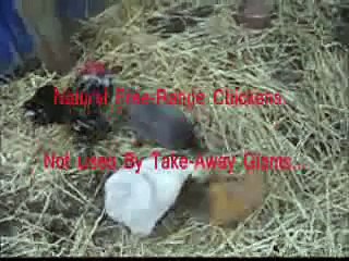 The Colonels Secret Recipe