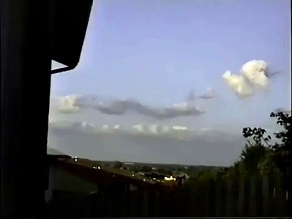Hummingbird in Flight.