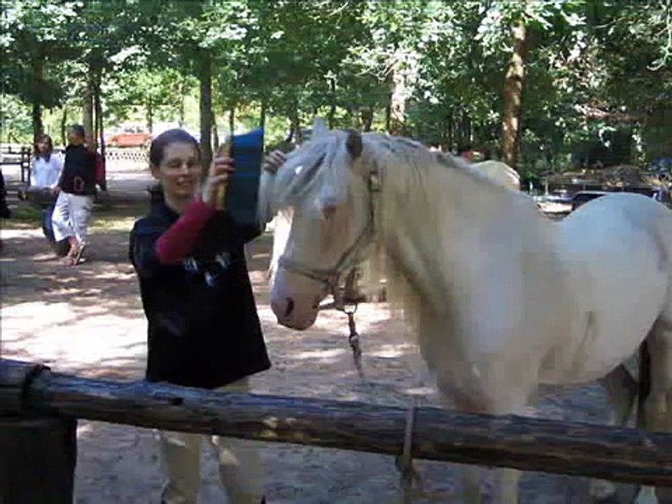 Cheval qur plage
