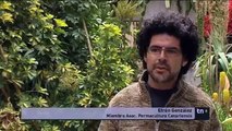 Permacultura en Gran Canaria - Televisión Canaria
