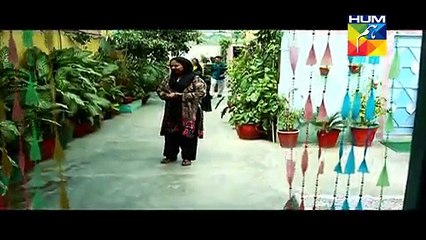 Assi Episode 36 Full HUM TV Drama 11 June 2015