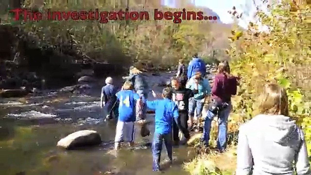 Aquatic Macroinvertebrates as Bioindicators