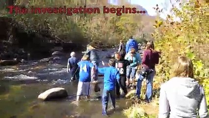 Aquatic Macroinvertebrates as Bioindicators