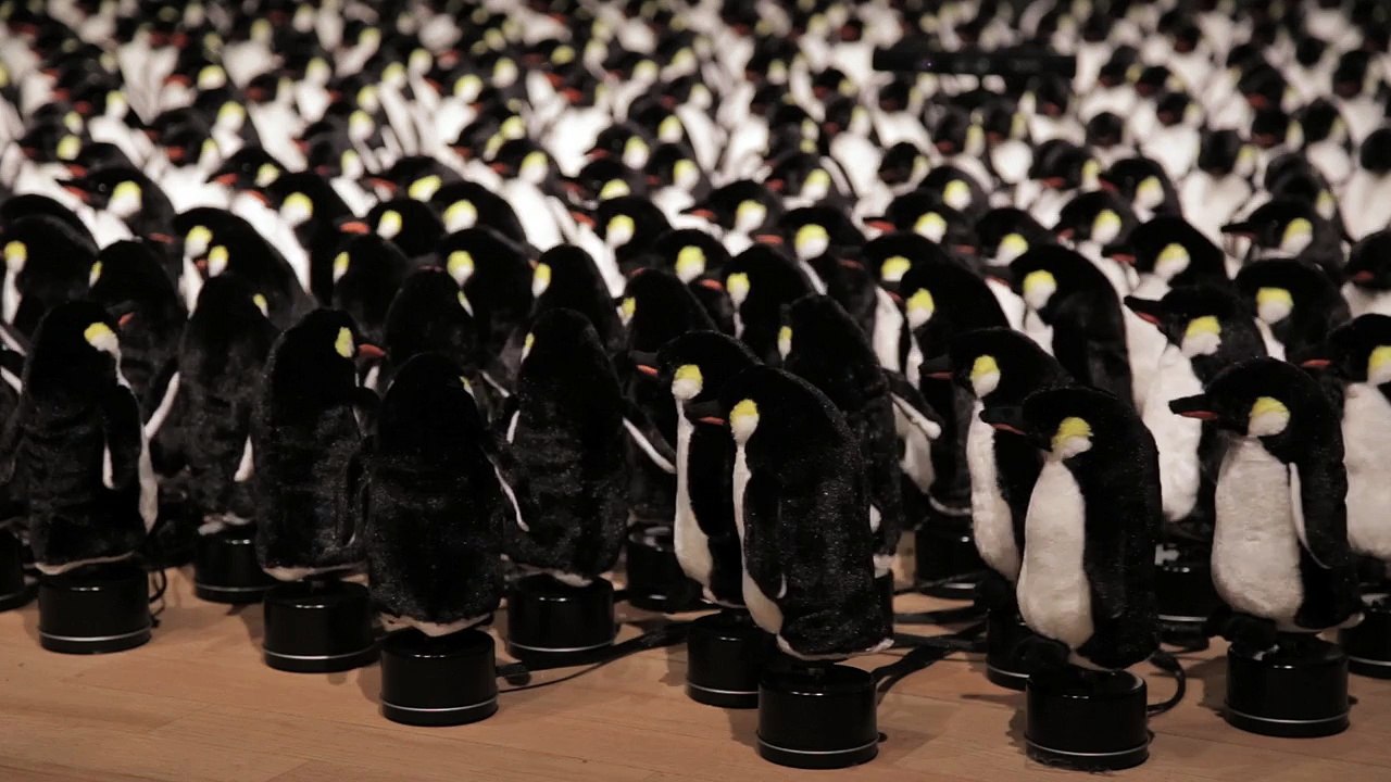 Penguen Ayna