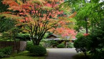 Fall at the Portland Japanese Garden