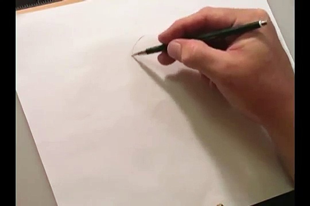 How to Draw Jasmine