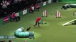 Agility - Exclusive Behind The Scenes at the Small Dog Final | Crufts 2014