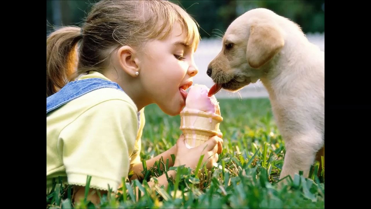 Animal Love