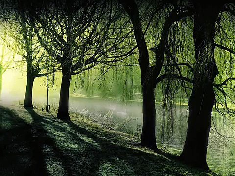 Elena Kats-Chernin - Eliza's Aria, from Wild Swans ballet