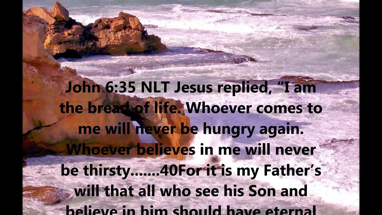 Bread of life