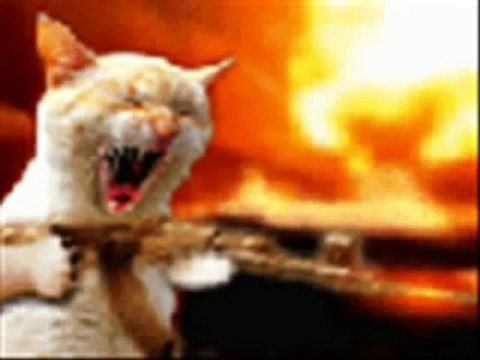 gitara-parokya ni edgar