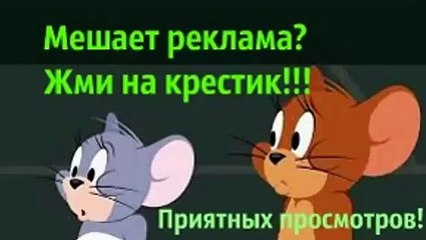 Том и джери на русском все серии  Кот трусишка