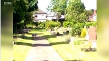 BBC1_Look North (East Yorkshire and Lincolnshire) 11Jun15 on dogs in cemeteries in Grimsby & Cleethorpes