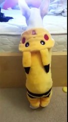 Costume-wearing puppy struggles to jump on bed