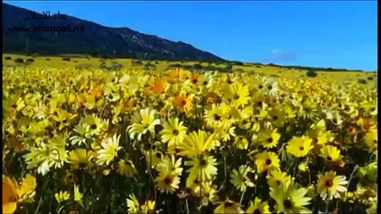 Mercy of Allah on Repentance _ Maulana Tariq Jameel(letest 2015)