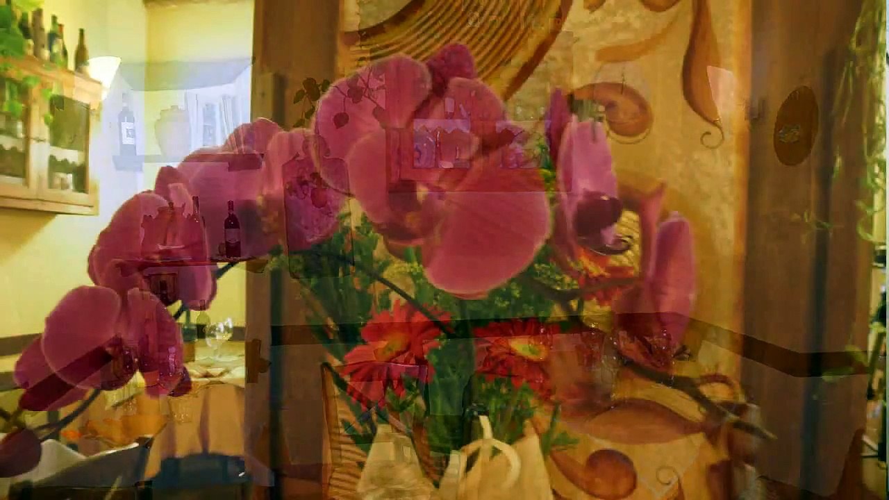 Tuscany Holidays Montaione -- Osteria del pesce rosso a cura di L. Luongo.wmv