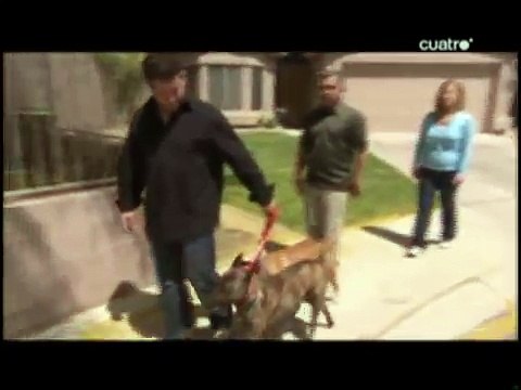 el encantador de perros -Zenofobia(4ªTemp) (2de2)