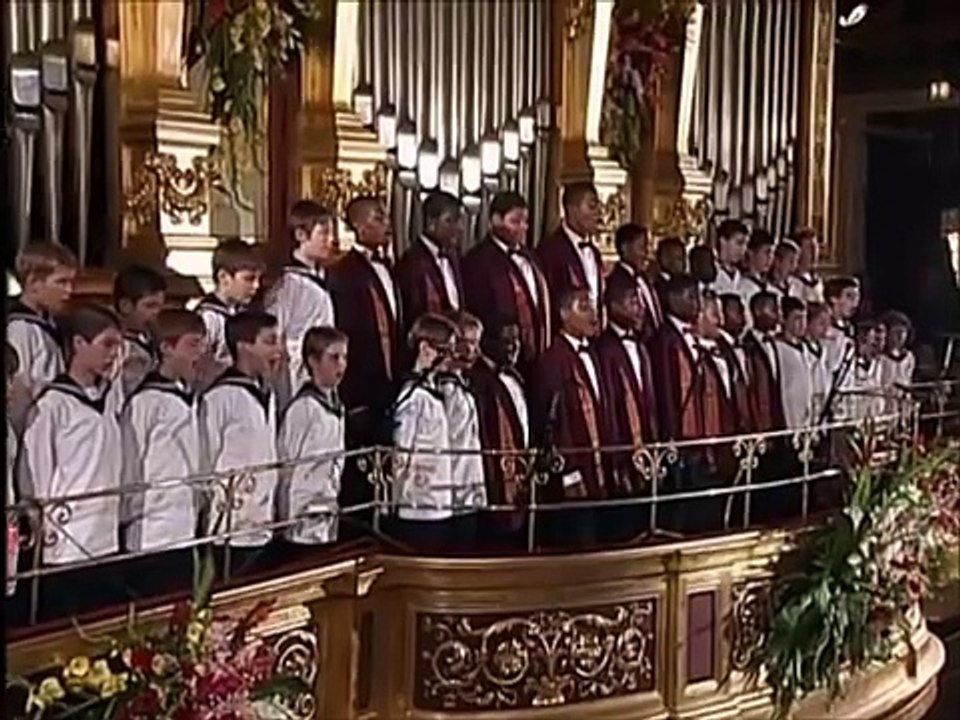 Johann Strauss, jr. "An der schönen blauen Donau"