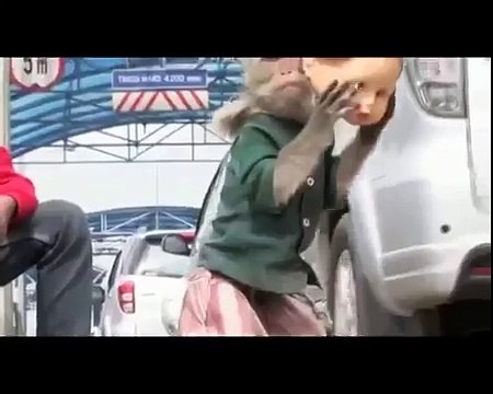 Torturing Monkeys to make money in Indonesia 3