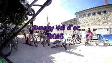 Avenay Val d'or 2015