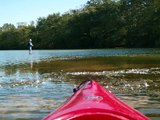Kayaking and Pickerel Fishing in Southern NJ