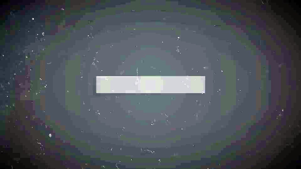 After Effects Project Files - Loading Reveal - VideoHive 10521563