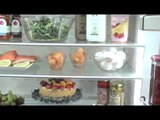 LIEBHERR  REFRIGERATORS GREEN DESIGN.mp4