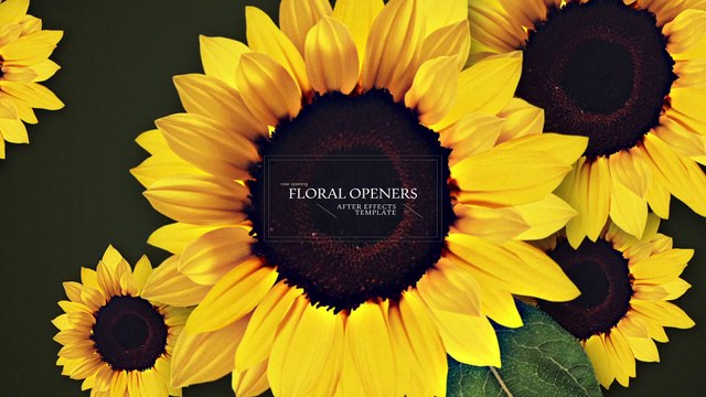 After Effects Project Files - Floral Openers - VideoHive 10520723