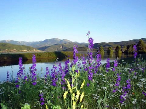 tokat almus cihet kasabası