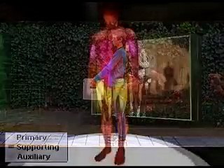 pws het menselijk lichaam