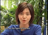 野生救援(WildAid) 公益廣告 - 孫燕姿 Stefanie Sun (English Subtitled)