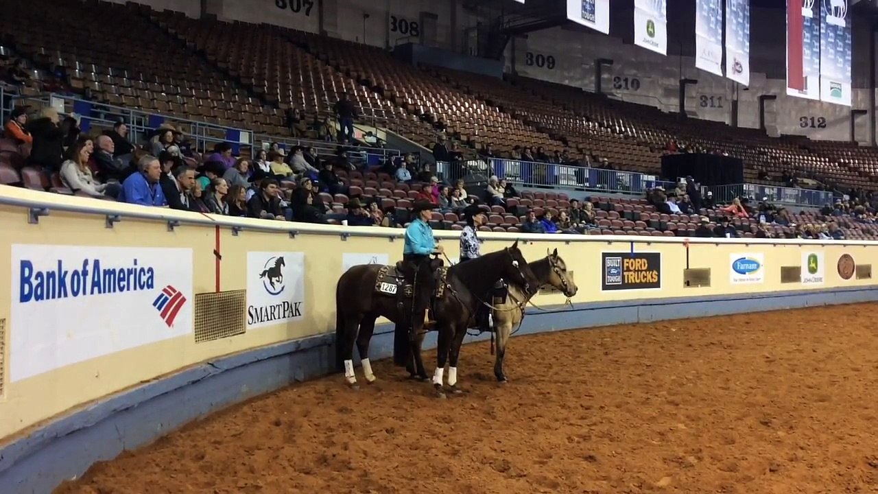 2014 AQHA Amateur Working Cow Horse World Champion