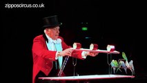 Norman Barrett MBE and his amazing budgies: Zippos Circus