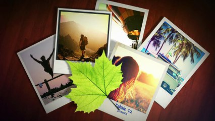 After Effects Project Files - Autumn Leaves Photo and Logo Reveal - VideoHive 9043284
