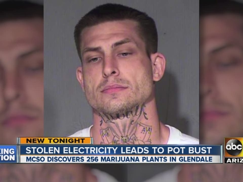 Power theft tip leads to marijuana bust