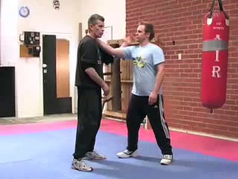 Wong Shun Leung Wing Chun David Peterson Cham Kiu seminar