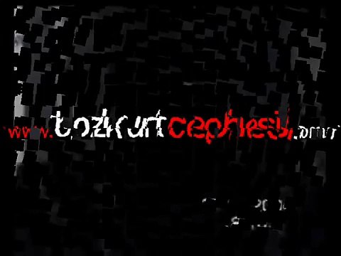 Bozkurt Cephesi - Ülkücü Yemini