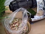 How to grow Wheatgrass and other Green Sprouts indoors - Got Sprouts?