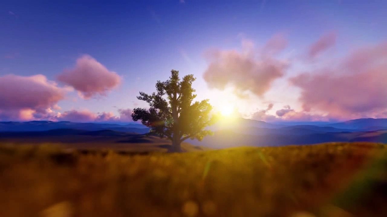 MOTION GRAPHICS ANIMATION- evemultimedia.com