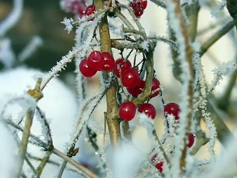 The Cambridge Singers - What Child Is This (Greensleeves)