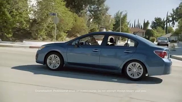 Dog Tested. Dog Approved.® Mail Truck