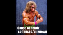 WWE Superstars That Have Passed Away